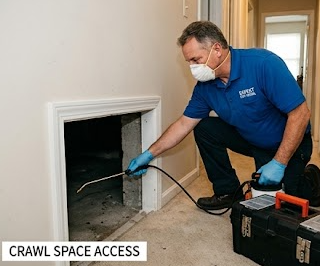 pest control